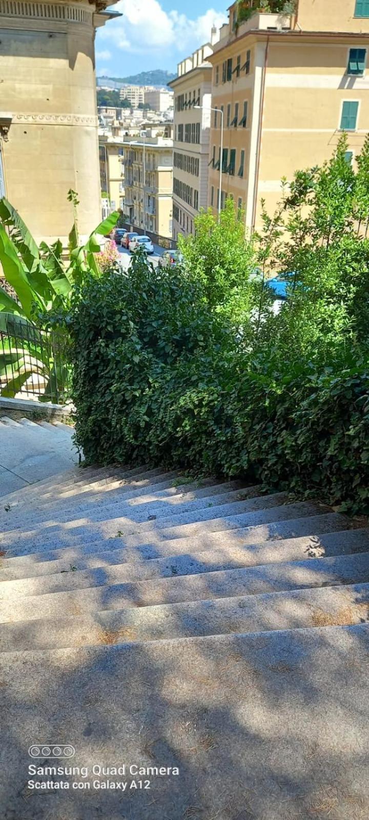 Teranga Genovese Apartment